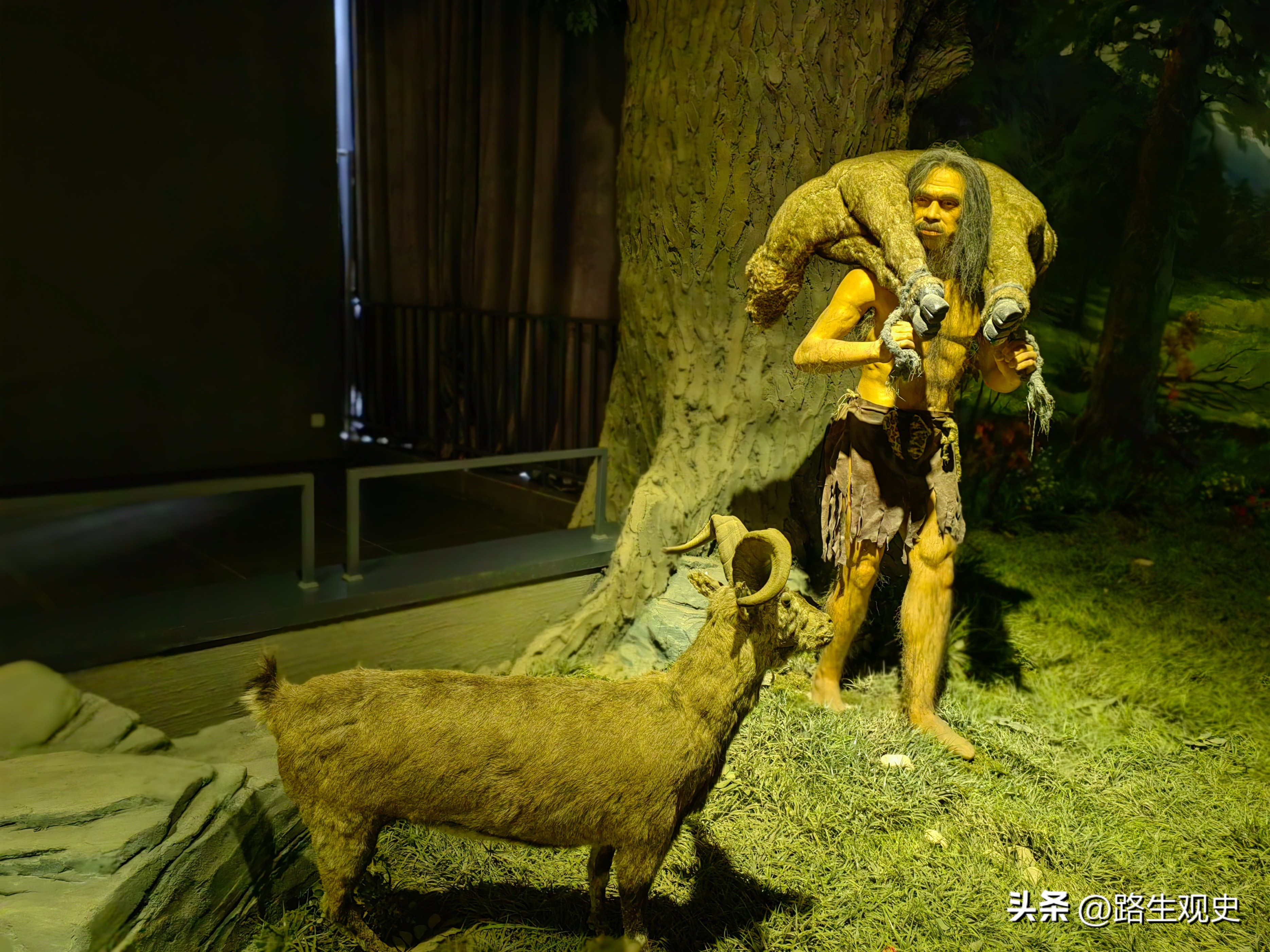 内蒙古恐龙遗迹有哪些,内蒙古草原几百上千年前是海吗