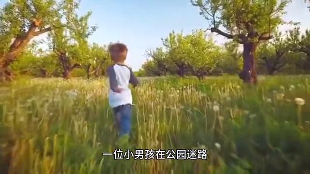 汪汪队立大功第二季消防车,汪汪队之超能救援先锋