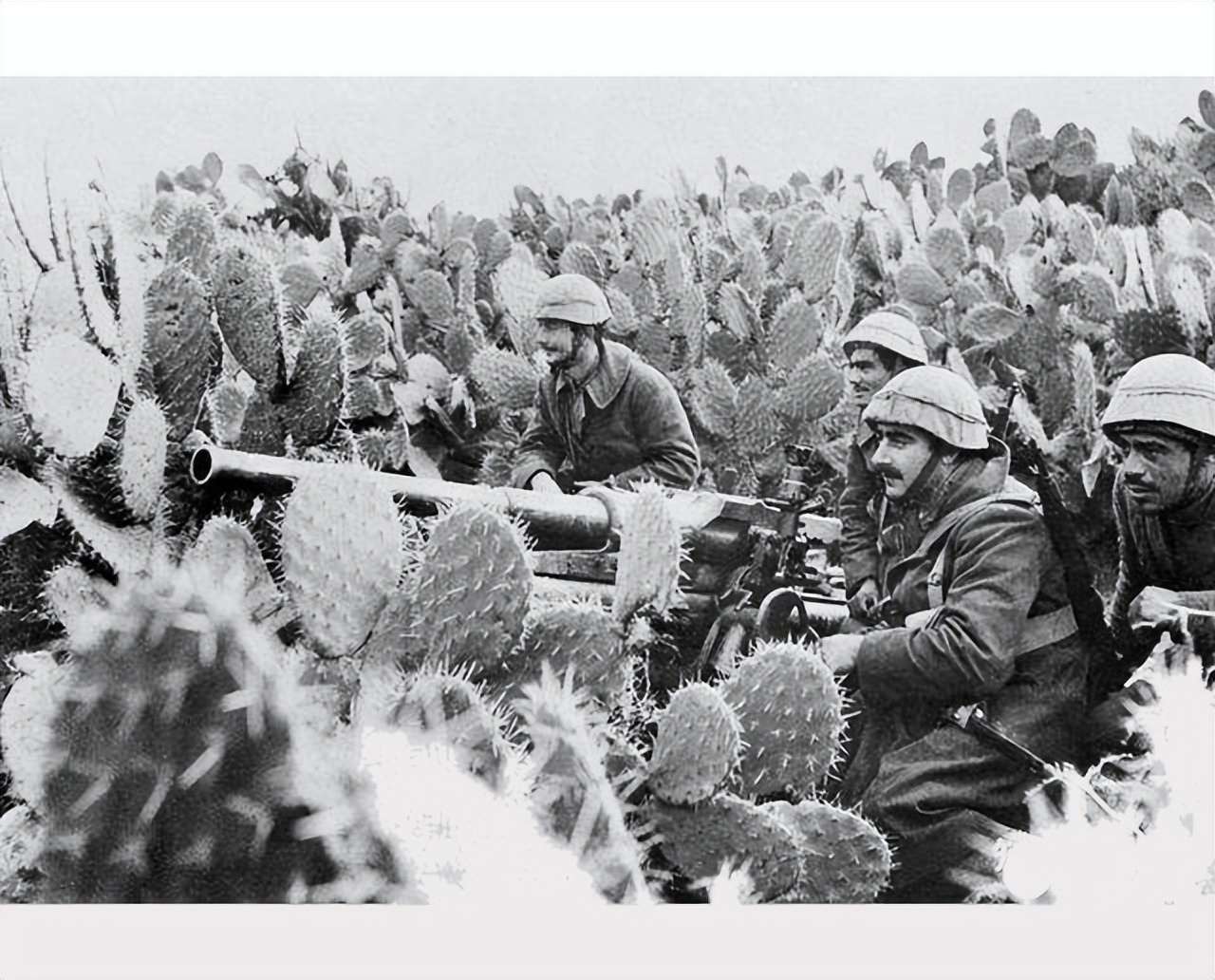 二营长的意大利炮到底长什么样子,二连长的意大利炮是怎么来的