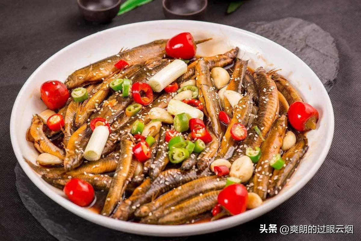 鲶鱼是世界上最脏的鱼,中国十大最脏鱼是什么鱼