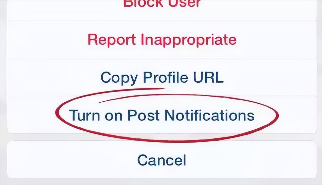 保姆级Instagram涨粉技巧:十九种方法手把手教你快速增加受众