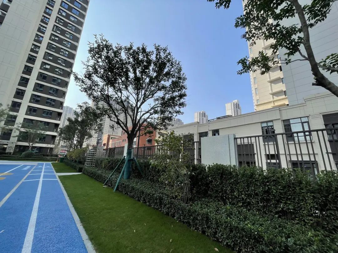 验房金地如期交付,金地2025年交房靠谱吗