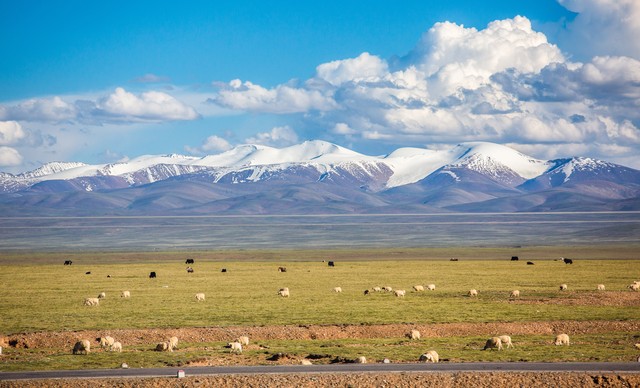 人生感悟苦与累,痛并快乐着什么意思