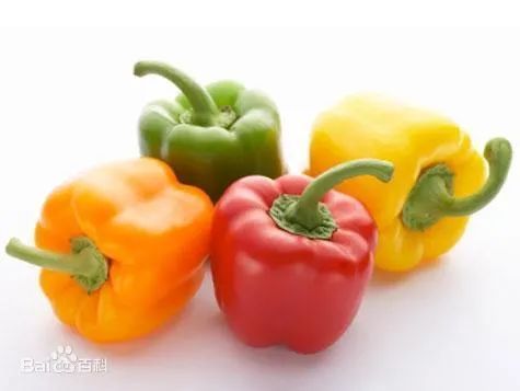 最辣的辣椒全球,全球超辣辣椒