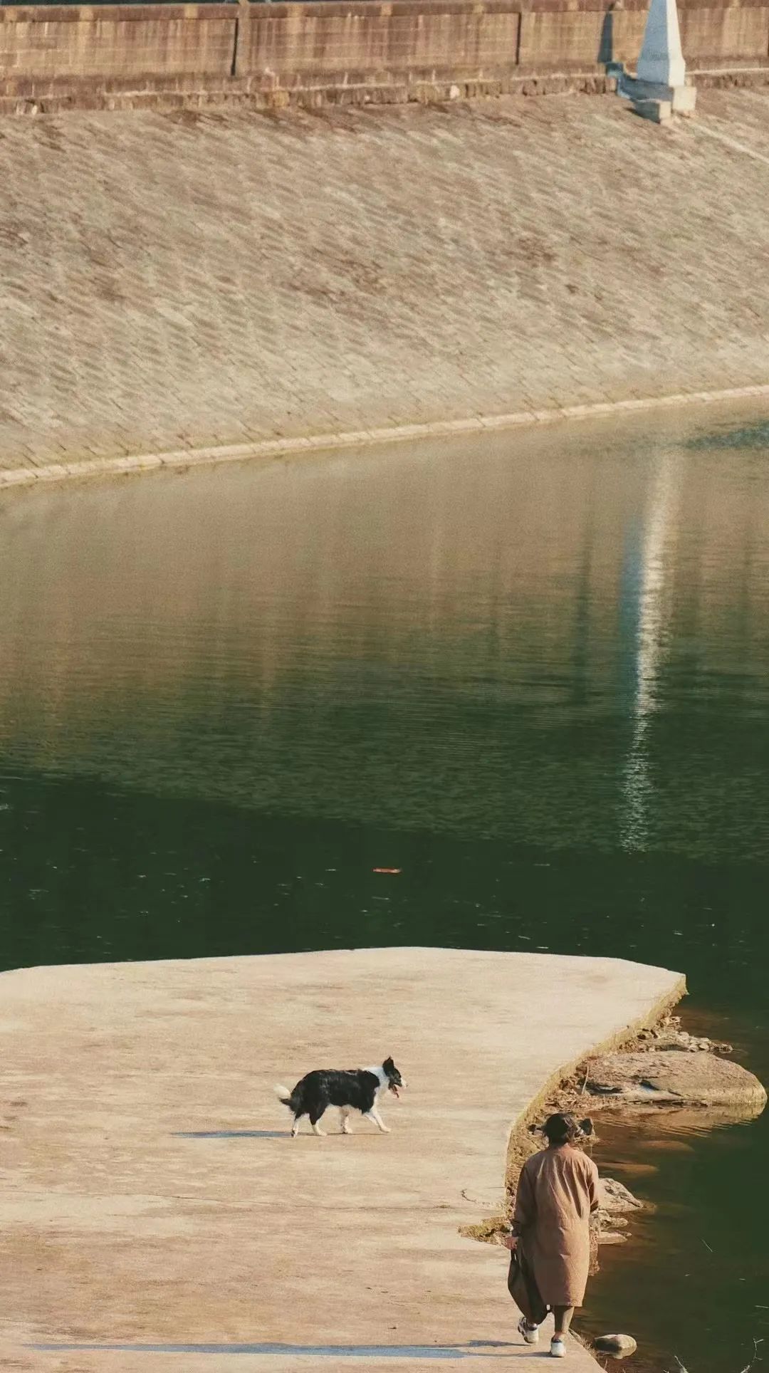 成都周边一日游露营烧烤好去处,成都周边春天适合野炊露营的地方