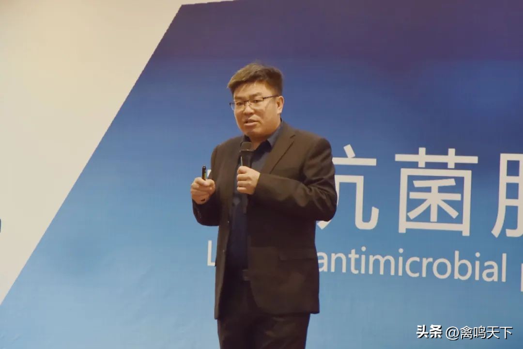 “枯草三十七肽”获批中农颖泰进入抗菌肽发展新时代首届抗菌肽原料配方应用技术论坛在林州召开