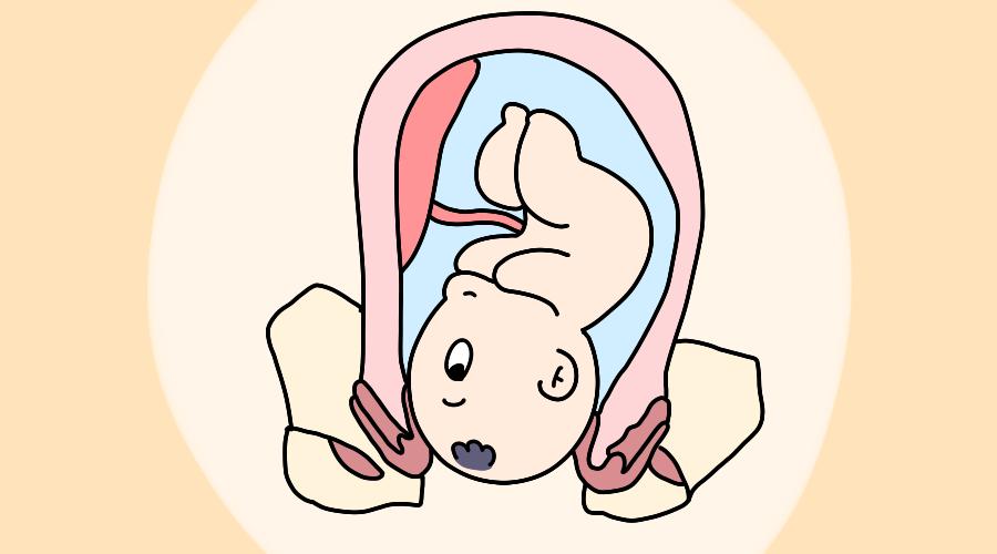 妇幼助产带您了解“顺产中的产程”