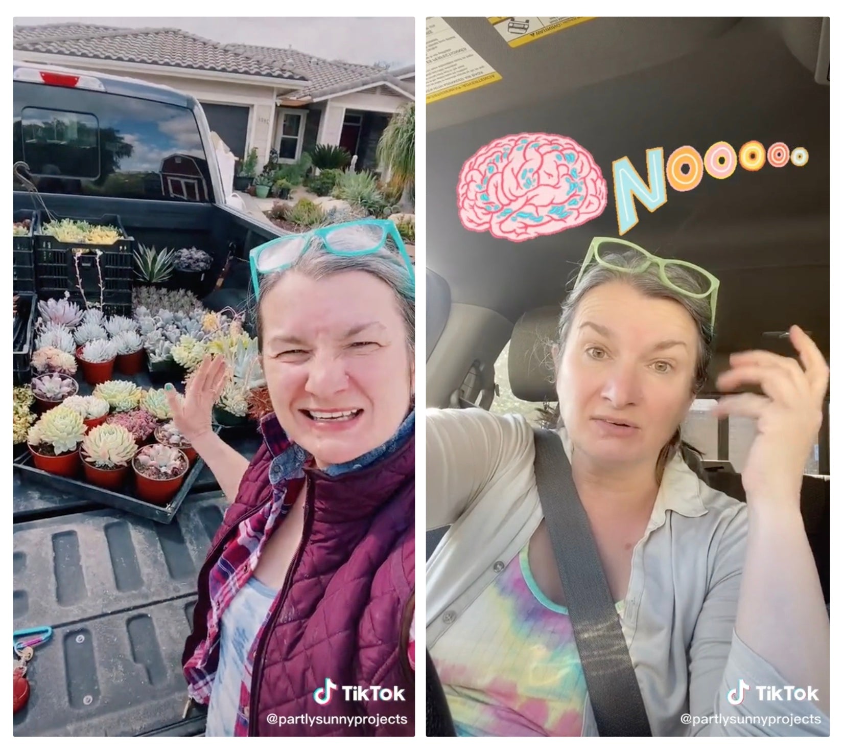 50岁金融业大妈，Tiktok上秀多肉绿植，把爱好做成家庭小生意