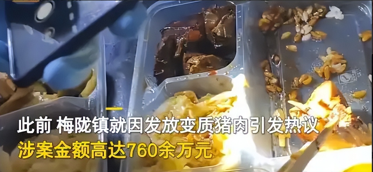 张珊珊注册了陕西多少家核酸公司,张珊珊在全国注册35家核酸公司