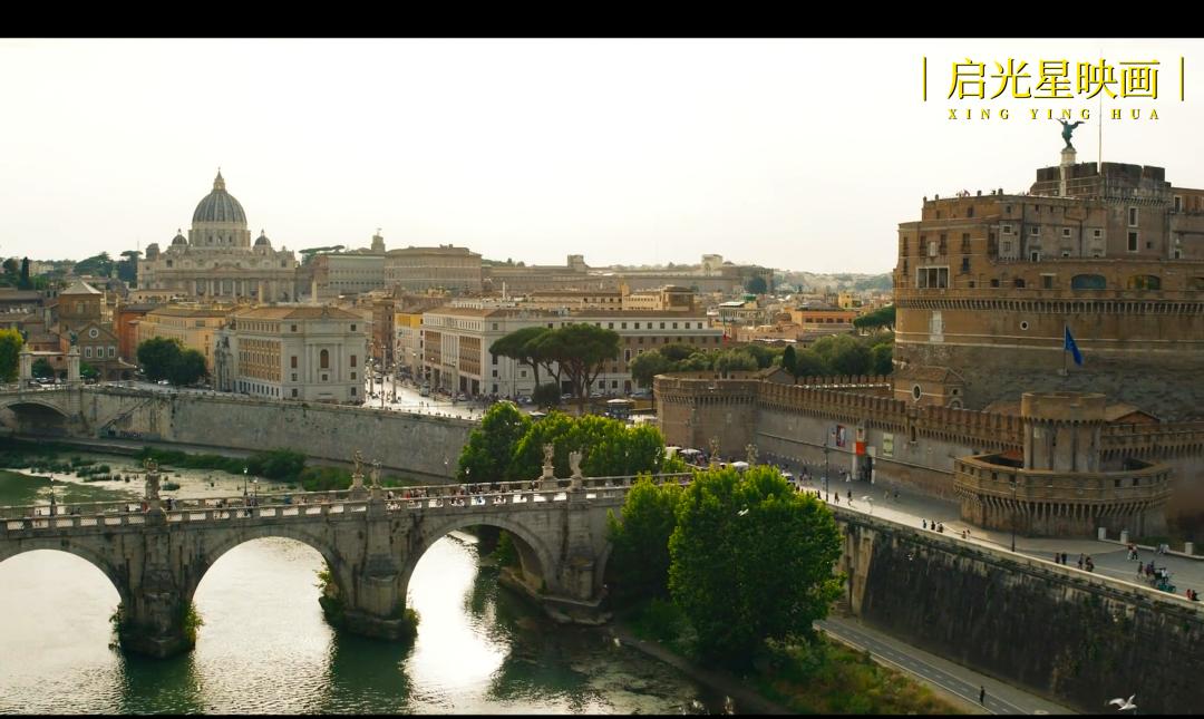 黑帮女老大成长史,黑帮女老大的传奇人生