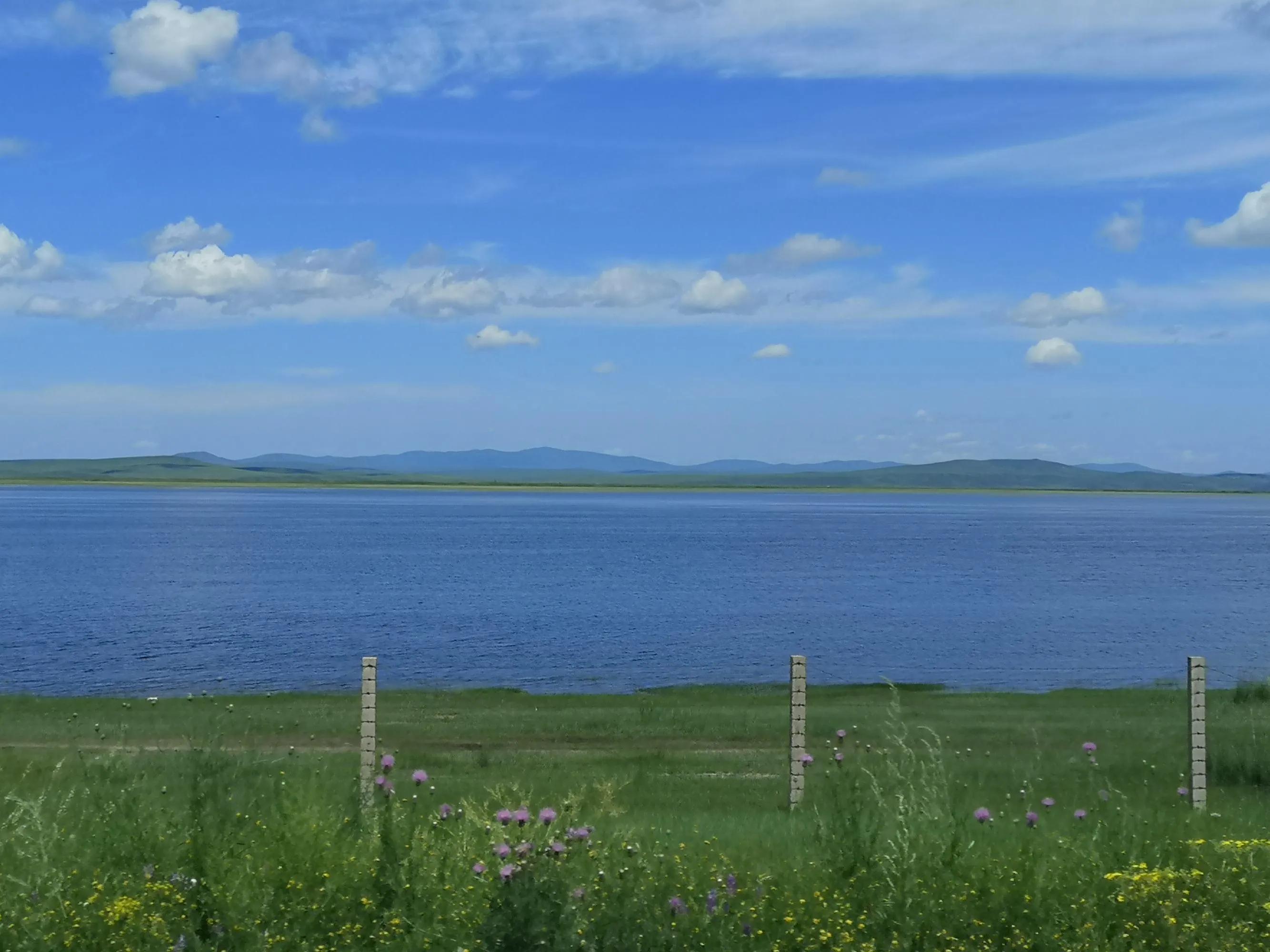 呼伦贝尔六日游自由行攻略 (呼伦贝尔八日游旅游攻略)