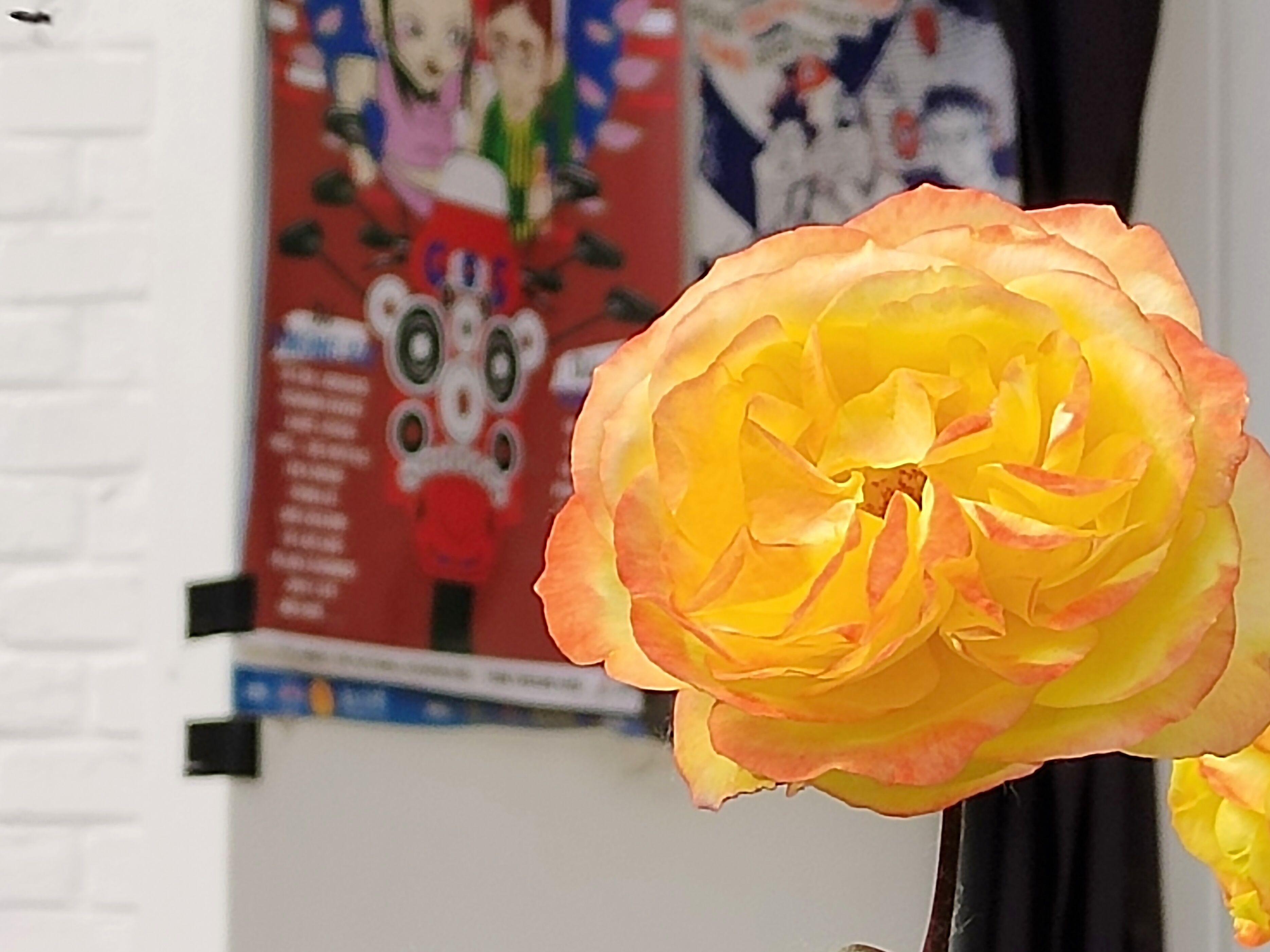 iqooneo6se要买最高配吗,iqooneo6se870是巅峰版吗