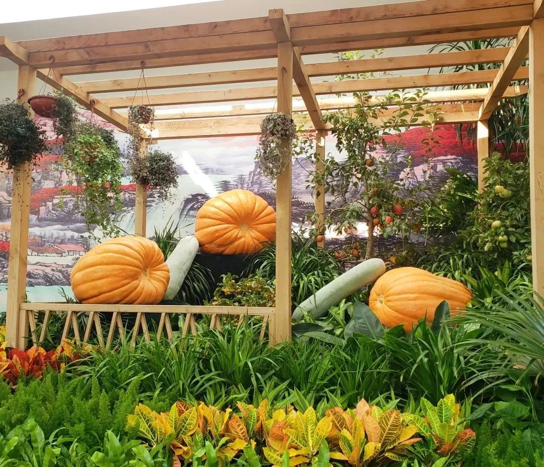 来北京必逛皇家园林,北京具有特色的皇家园林