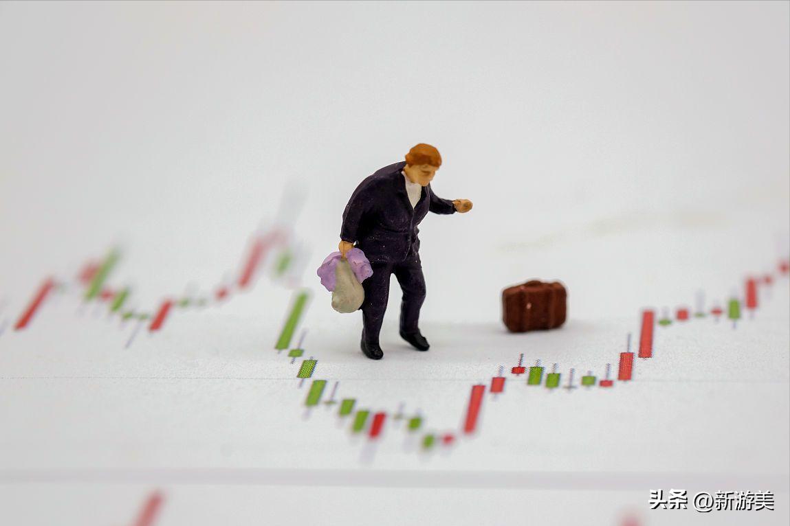 新海宜最新质押消息,新海宜大股东增持