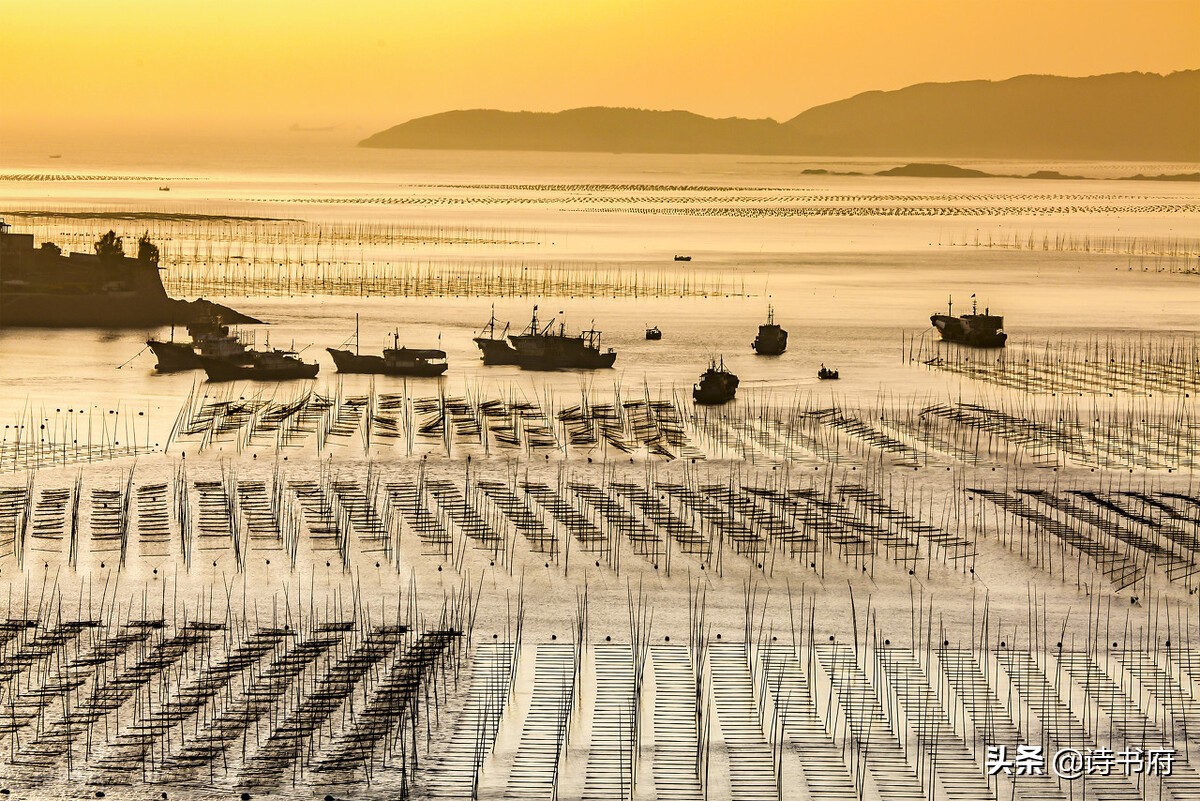 福建温福高铁350龙港有站吗,温福高铁温州段104公里