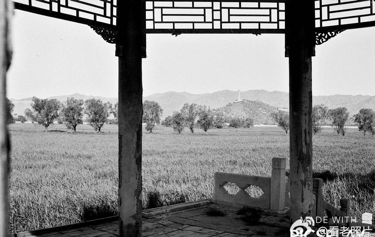 日军泯灭人性的酷刑：日军扫荡后被凌辱的妇女老人受到残酷的刑罚