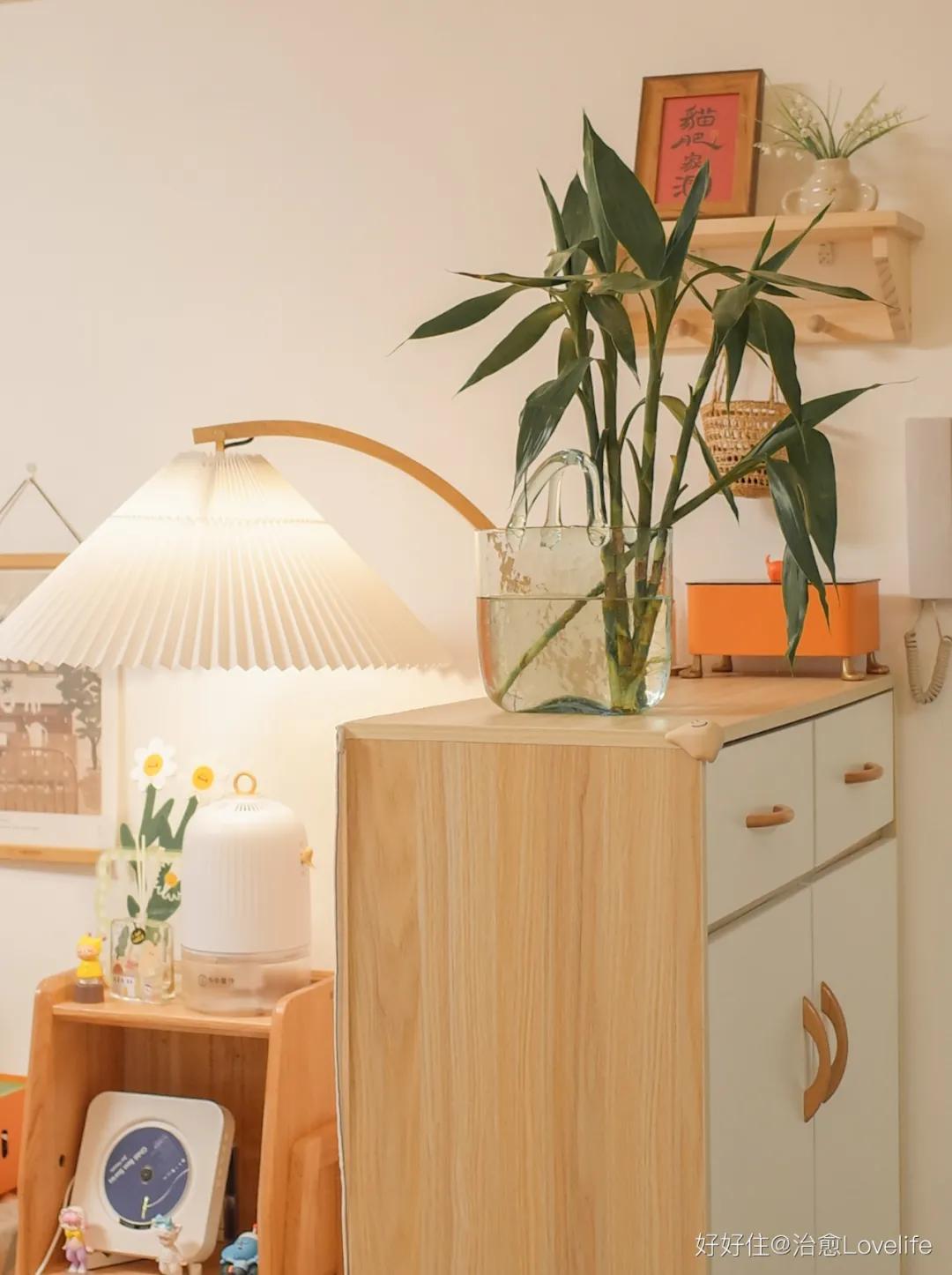 她家简直是个种草机，原木空间进来就出不去