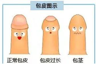 夏天穿着它舒服又清爽,这个夏季一定要穿得清新舒爽