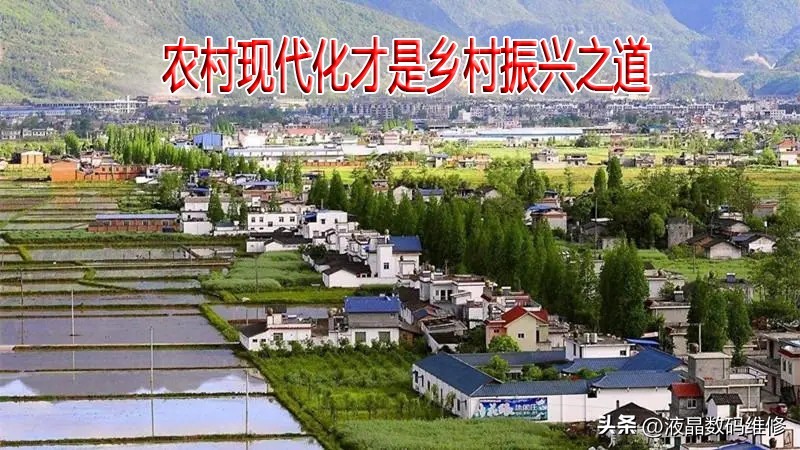 乡村振兴农村人怎样才能致富,如何带领村民致富实现乡村振兴