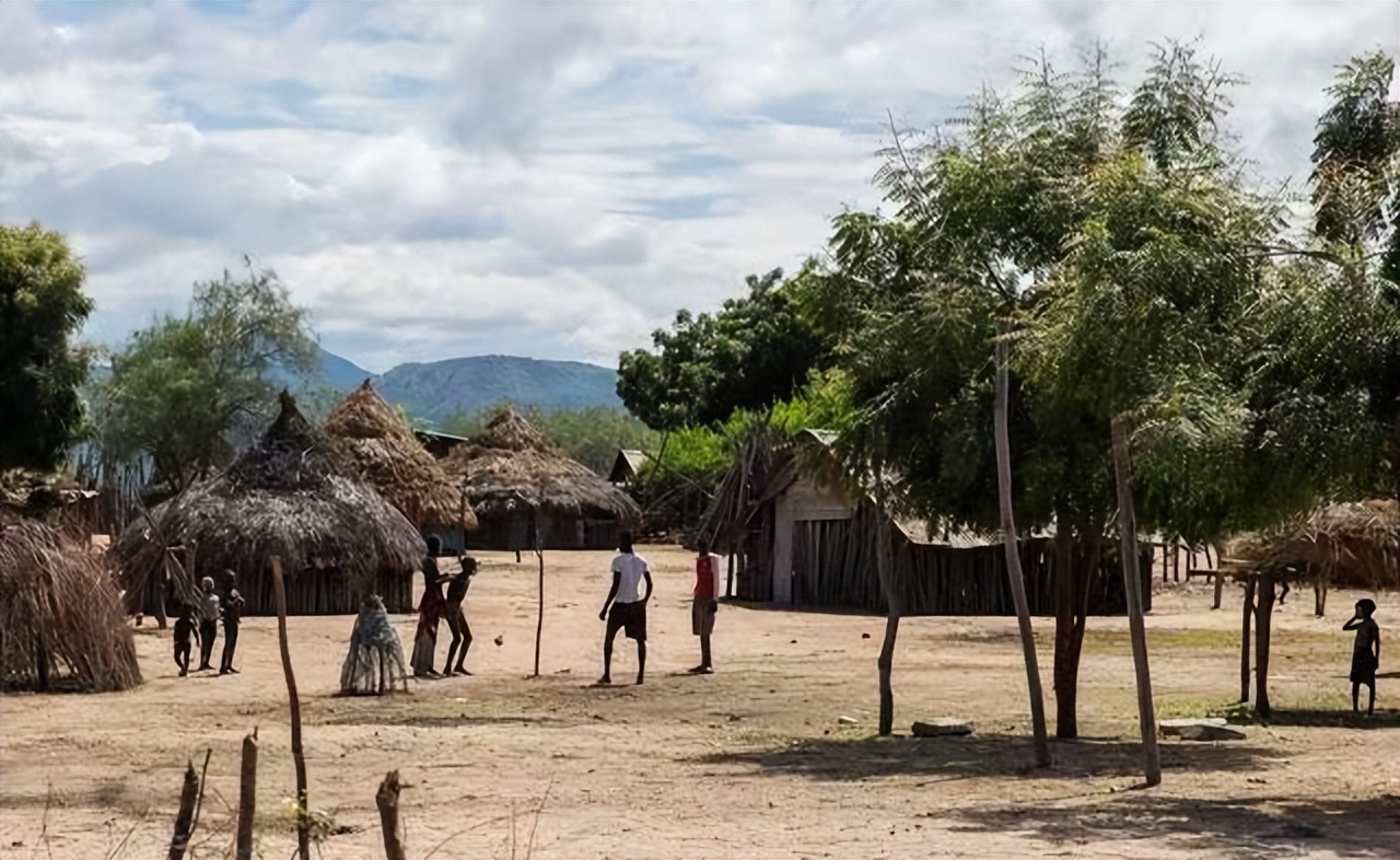 贫瘠的非洲是芝麻的原产地?年产量达400万吨，我国是最大进口国?