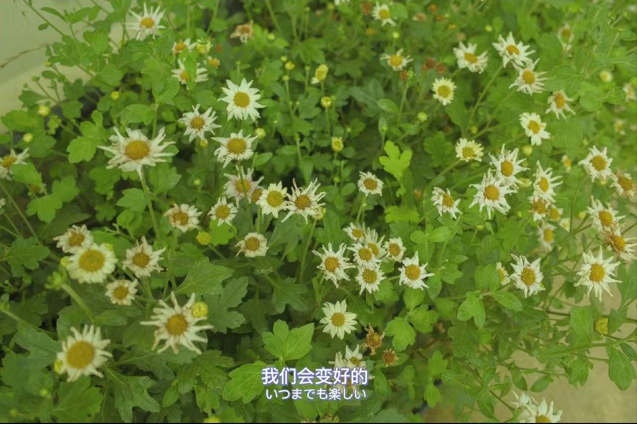 女情人失望要分手怎么挽回,情人失望型分手最佳挽回方式