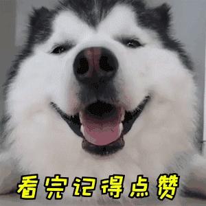 阿拉斯加狗粮推荐价格,成犬阿拉斯加犬吃哪个品牌的狗粮