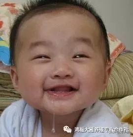 人间美味的动物有哪些,大雁做法和营养价值