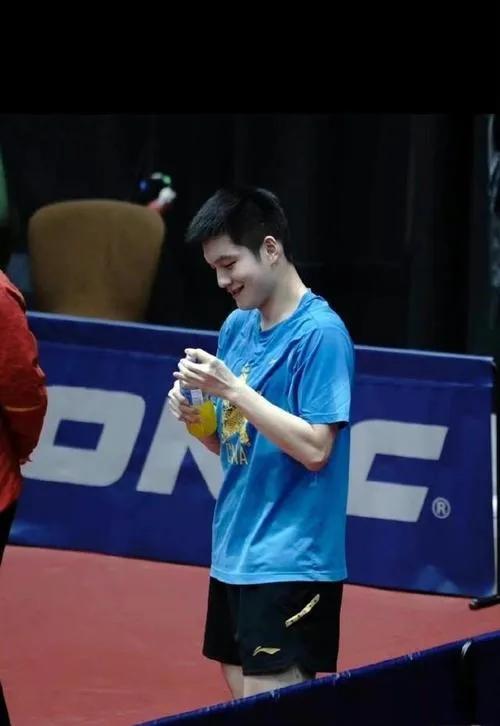 国乒马龙樊振东,樊振东国乒一哥