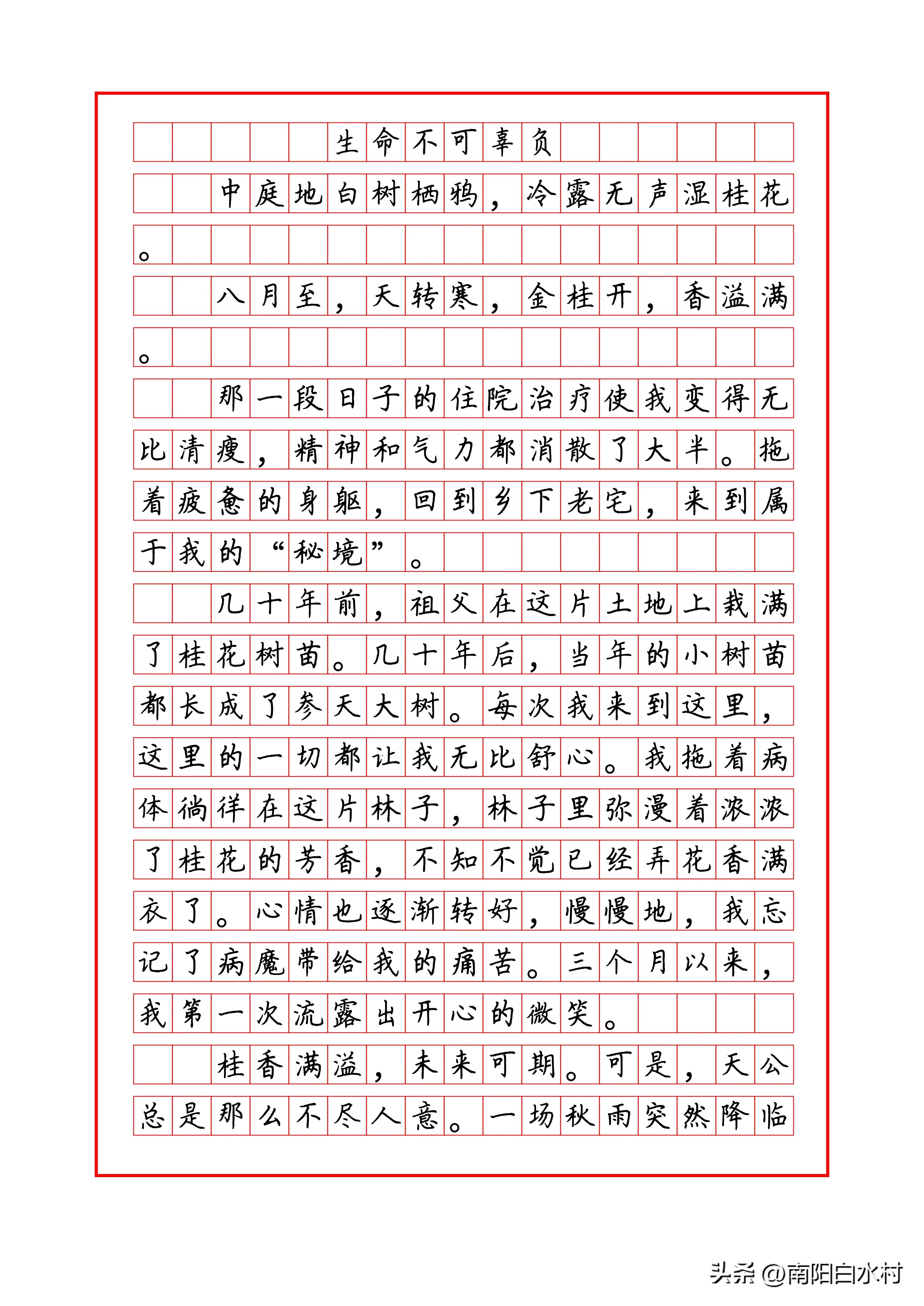 写成长类作文顶级范文,成长满分作文12篇汇总