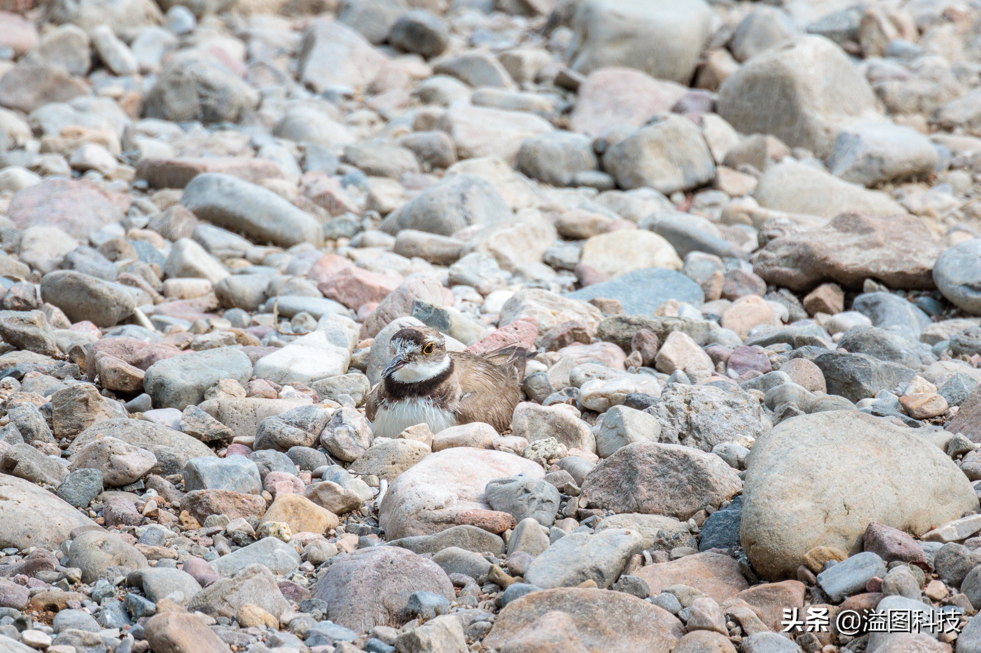 eosr7微单详细测评,佳能r7这款相机真的是值得买吗