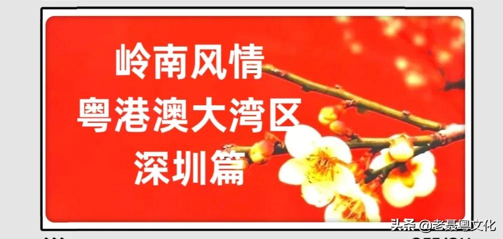 原来深圳有那么多的地方没开发,原来深圳有多大