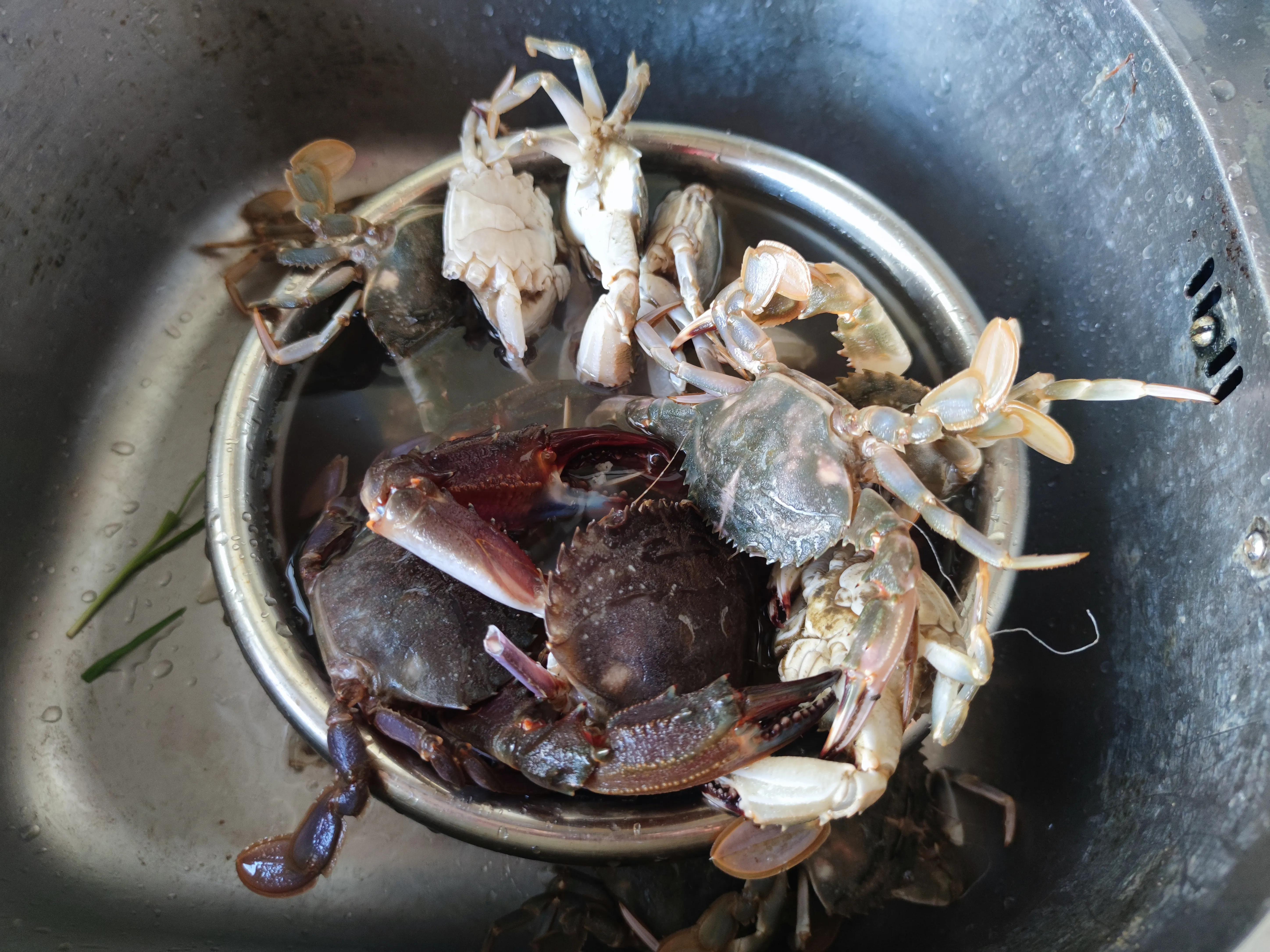 国庆吃什么海鲜最肥美最经济实惠,最适合秋天吃的四种海鲜