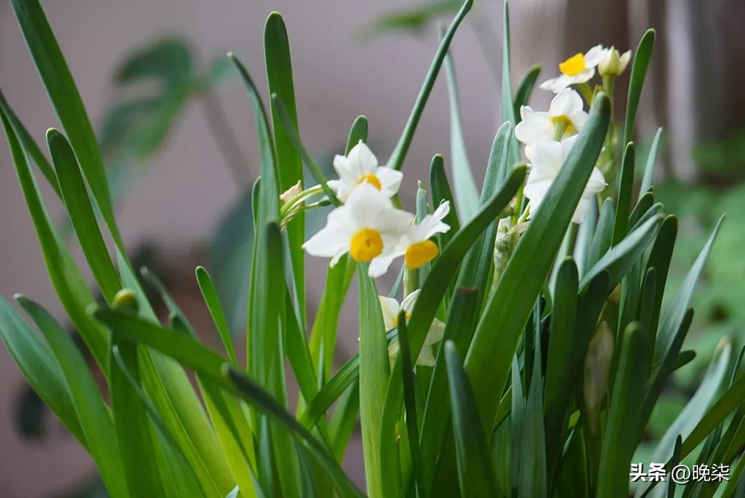 曾经的大连市八十一中学,曾经藏龙卧虎如今旅游胜地