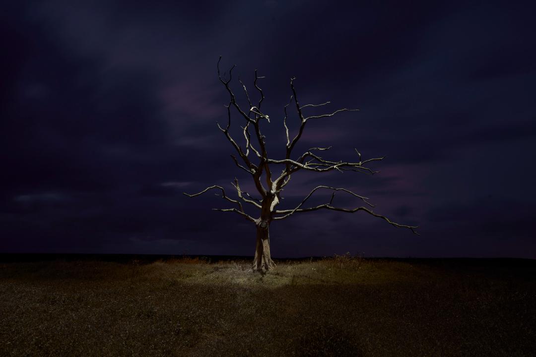 2022索尼摄影大赛征稿,2022索尼世界摄影大赛