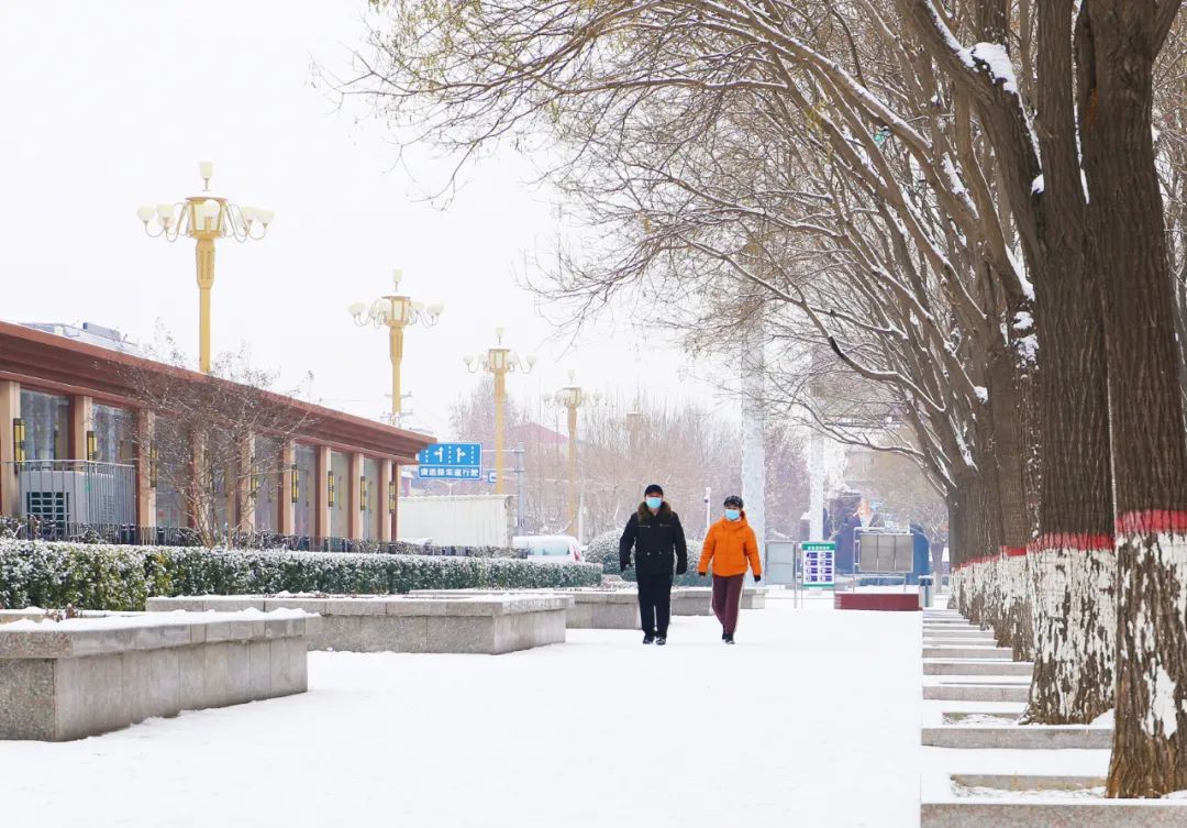 一下雪扬州就美成了广陵,一下雪新疆就美成童话世界