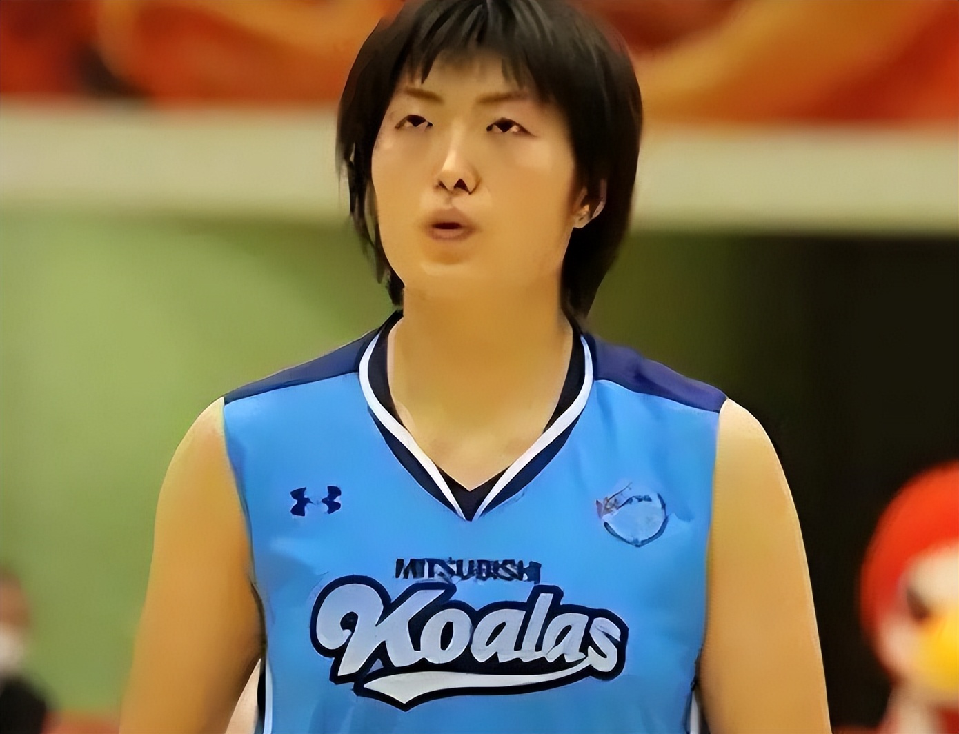 篮球王岑静祖籍哪里,日本女篮王岑静年薪