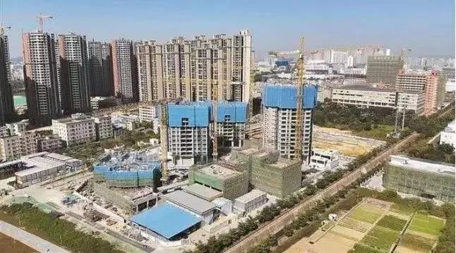 深圳一季度经济数据出炉,深圳一季度经济数据解读