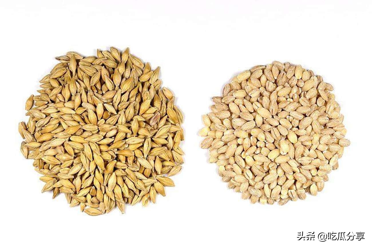 罗马椅健身的方法,罗马健身动作