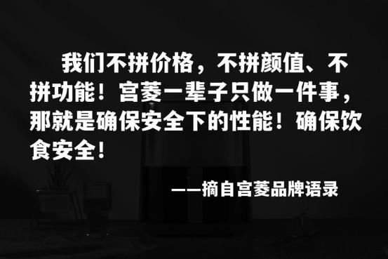 买空气炸锅哪个品牌的性价比最高,空气炸锅十佳品牌