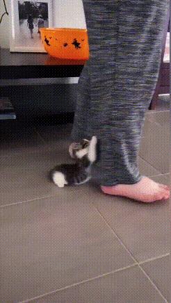 女朋友的房间里找到的工具,她说是手电筒,真以为我不懂吗?