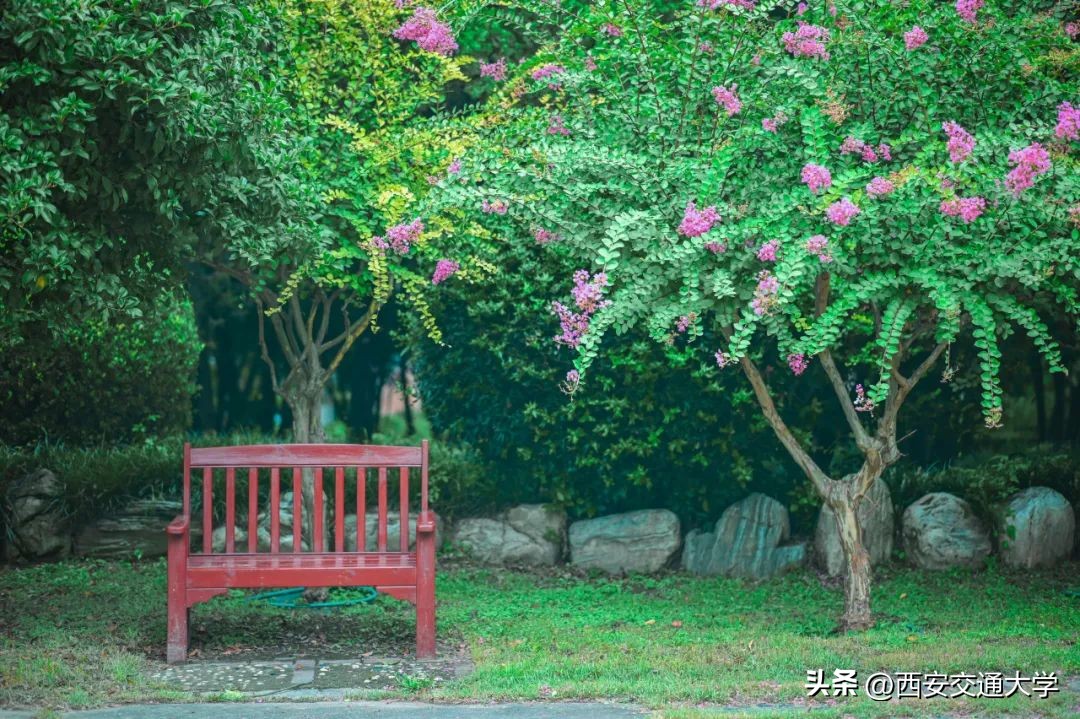交大的校园，一眼心动！