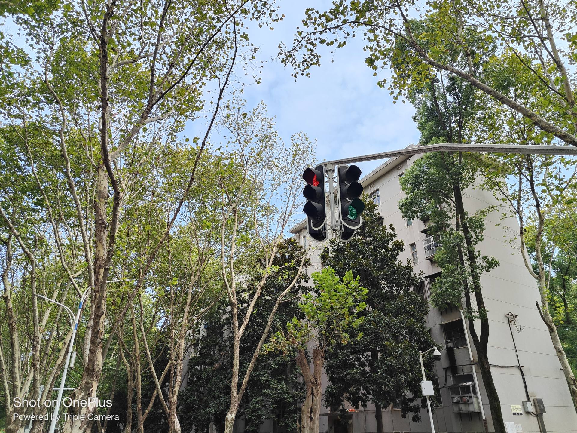 一加acepro学生,一加acepro原神评测