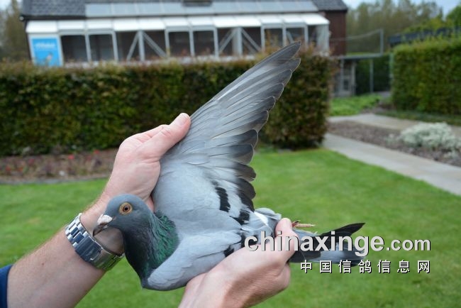 万里挑一的获奖者图片,万里挑一比赛视频