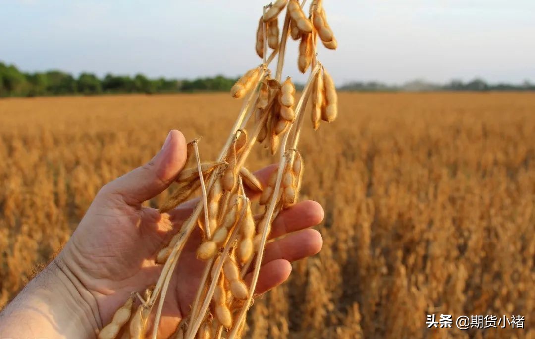 大豆价暴涨与期货有关么,国际期货大豆价格走势分析