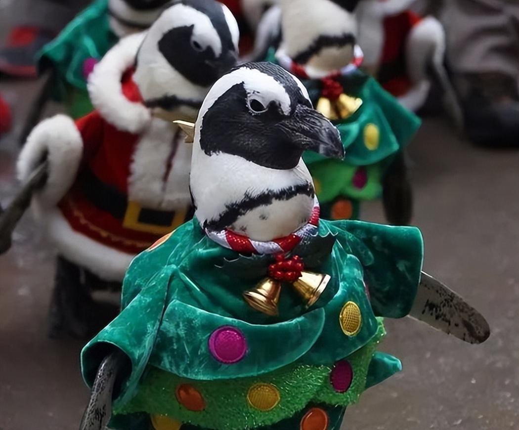 女子穿日军军装拍照被拘留,女子穿侵华日军服装摆拍新闻视频