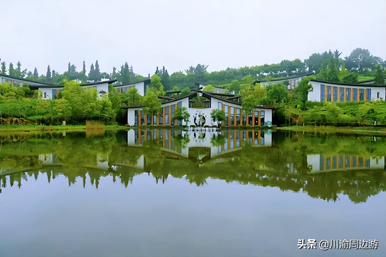 重庆景美人少免门票的好去处,茶园美人美景