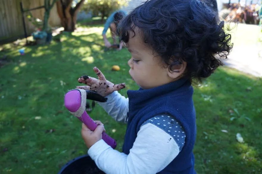 core77获奖设计作品,2024if设计奖获奖作品