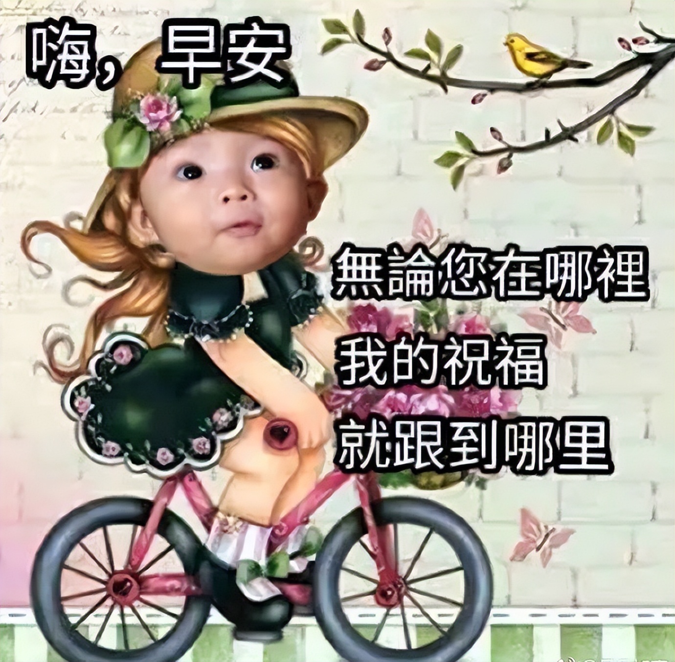 早上好鲜花祝福问候图片,早上鲜花祝福图片大全