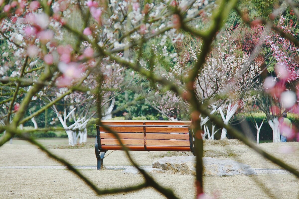 关于天津二手房市场未来走势，我有一个大胆预测