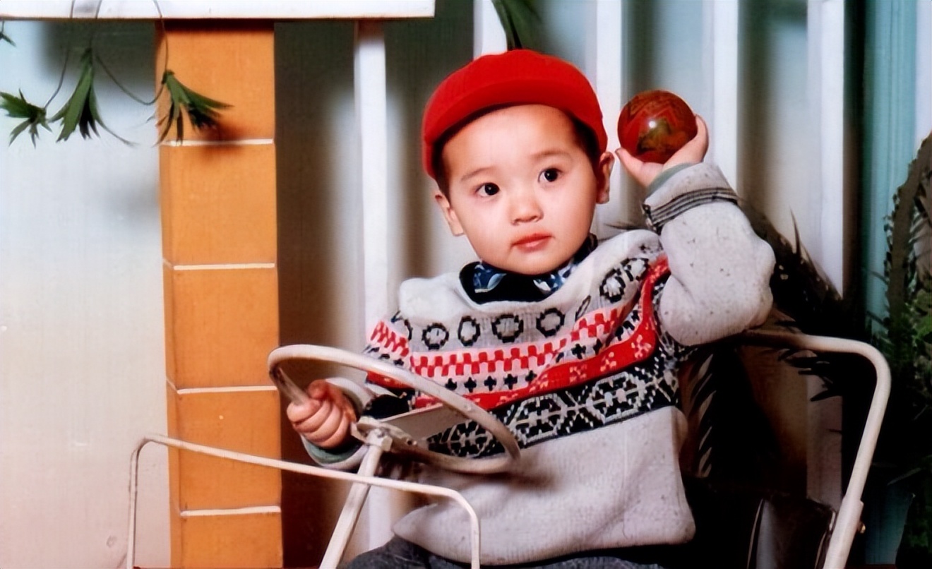 高云翔现在靠什么生活,高云翔经历